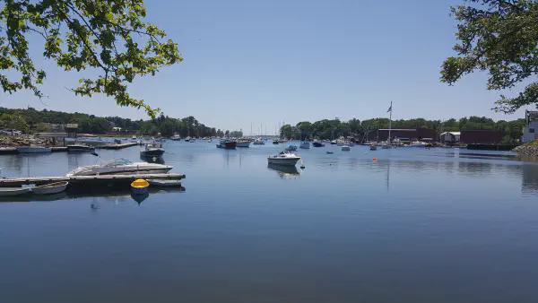 Strawberry Coriander Gin & Tonic