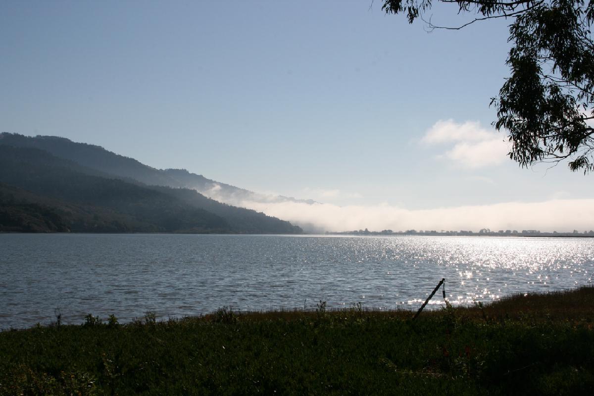 A day in Marin county and the Palomarin trail