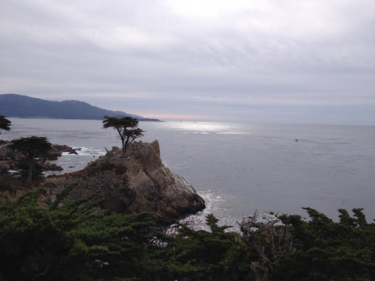 A Weekend trip to Monterey, Carmel and Big Sur