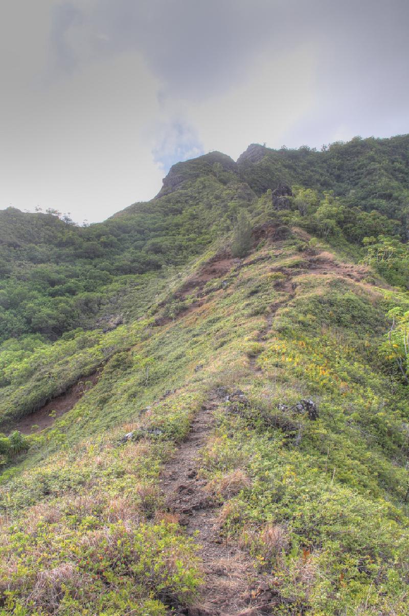 Puu Manamana _0006_08-37-06