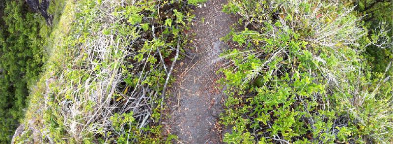 Puu Manamana _0026_09-48-00