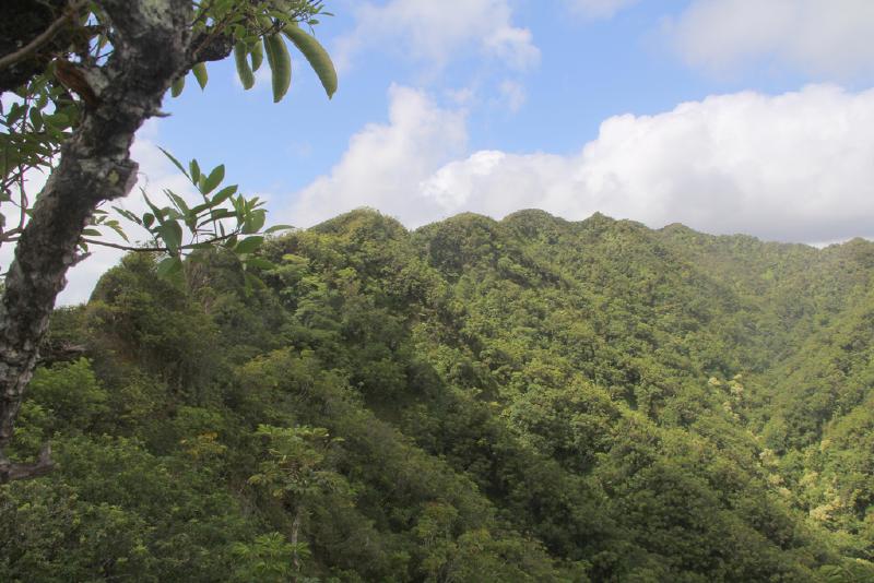 Puu Manamana _0036_10-14-42