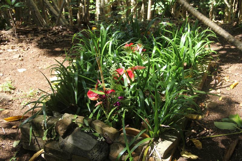 Puu Manamana _0080_14-23-36