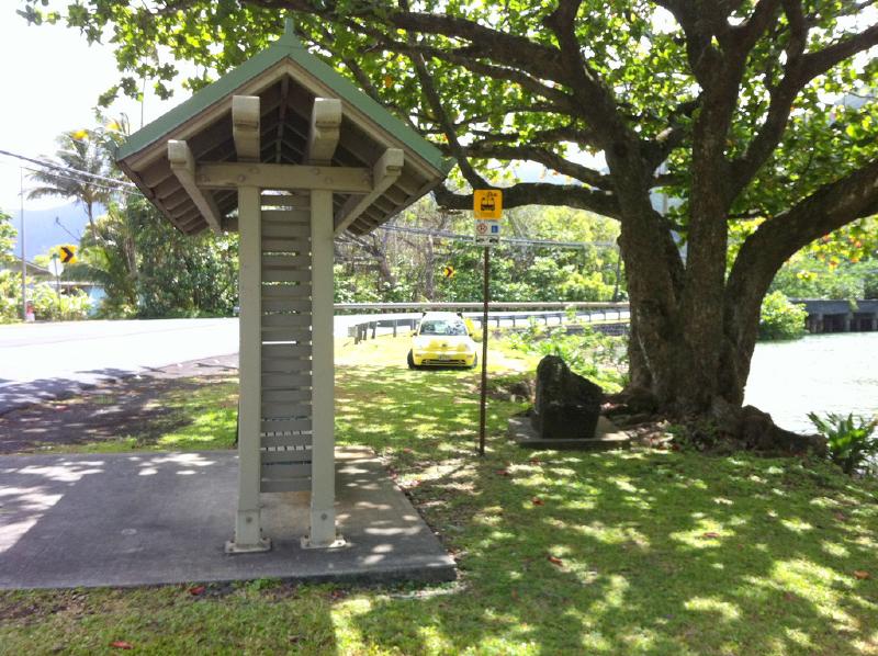 Puu Manamana _0087_14-36-27