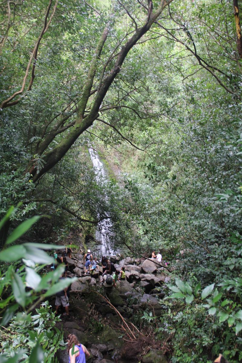 2016-02-15 17.59.52-1