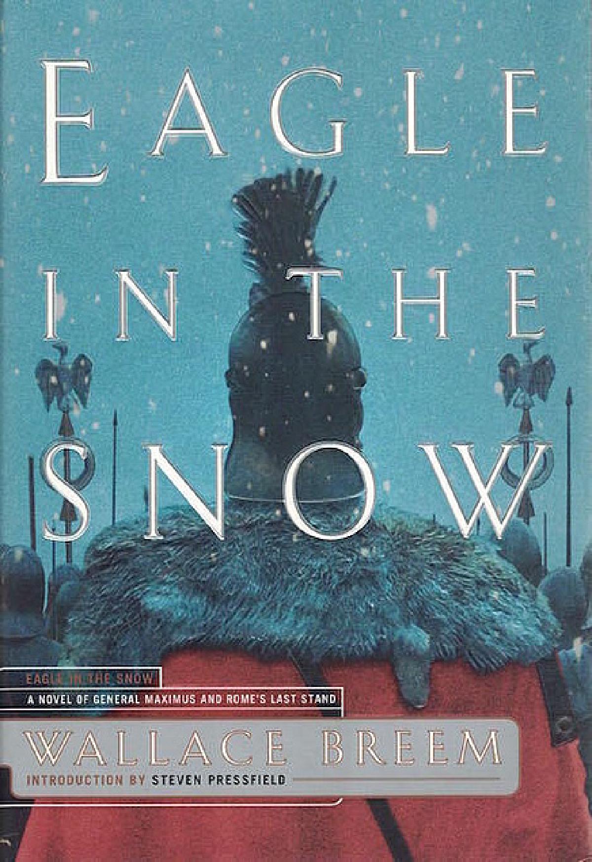 On the nature of historical fiction